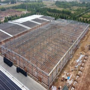 China Prefabricated Steel Frame Warehouse Building with H-Section Columns wholesale