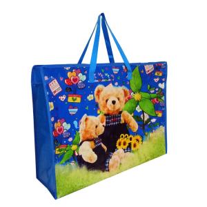 China Packing Carton Box/pp Package Non Woven Bag for PP Shopping Bag wholesale