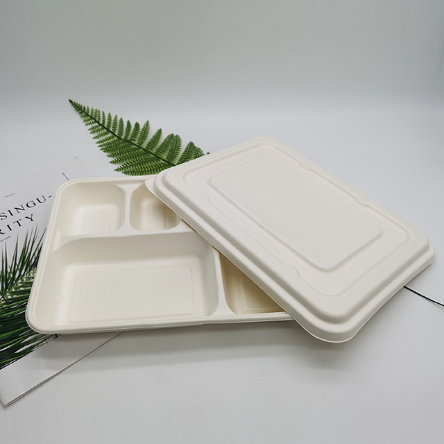 Biodegradable Food Box White Color Food Grade Sugarcane Pulp Material Non Pollution