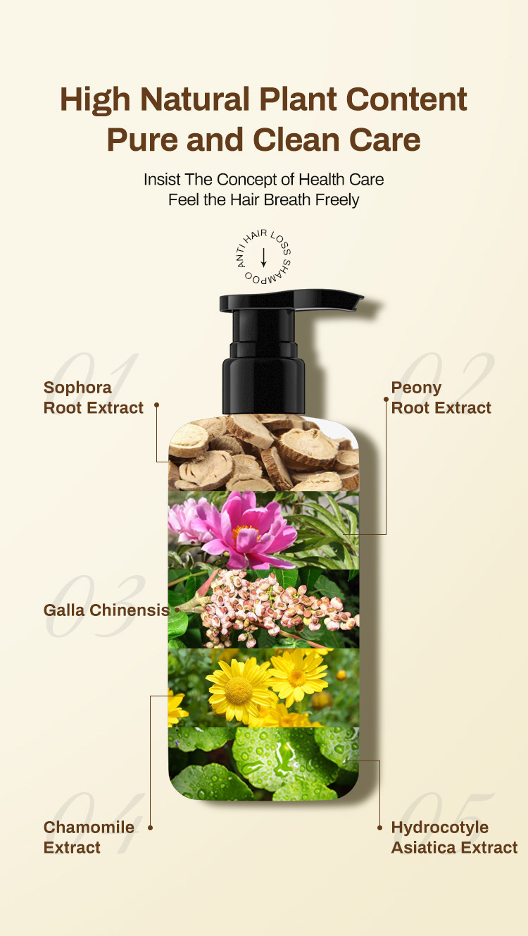 300 ML Private Label Oil Control Natural Plant Hair Growth Anti Hair Loss Shampoo
