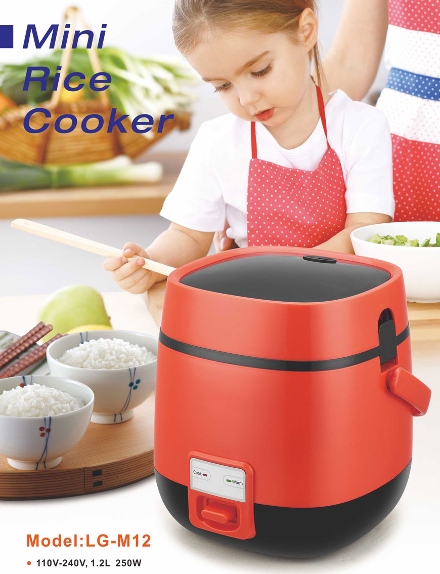 A mini cooker.jpg