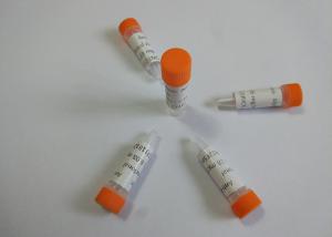 China Medical anti - Marijuana Mouse Hybridoma Monoclonal Antibody High Sensitivity wholesale