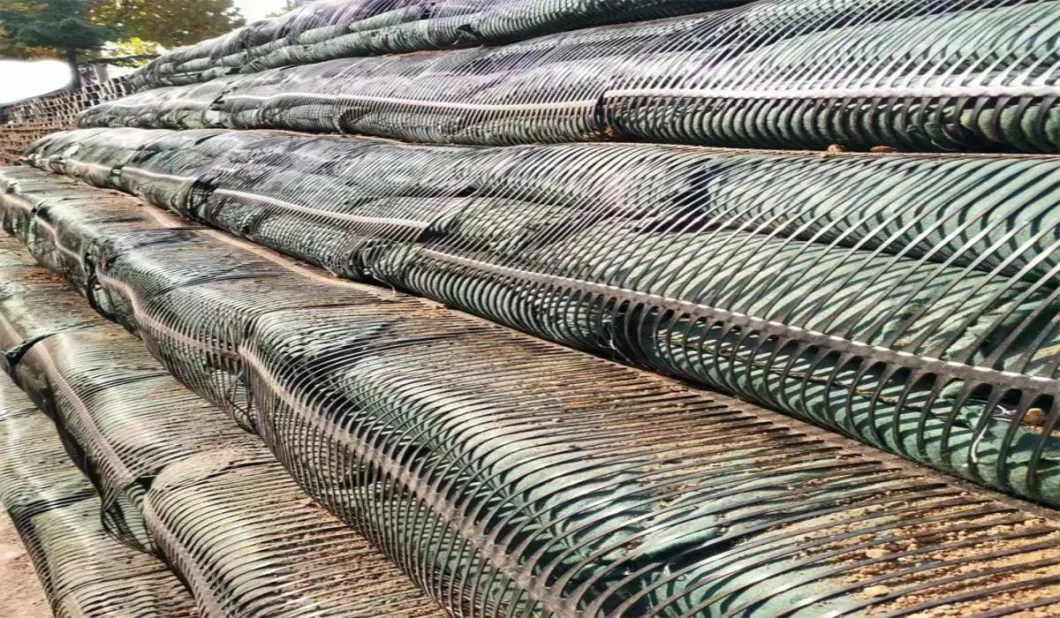 Geo Grid Ground Grid Plastic Uniaxial Polyester Geogrid Price Uniaxial Gravle Grid Ground for Driveway Basement