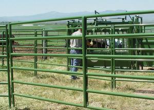China portable pipe filled welded mesh Cattle Fence Gate wholesale