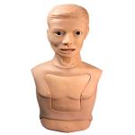 Feeding Nasogastric Tube Intubation Manikin Cpr Half Body For Medical Training