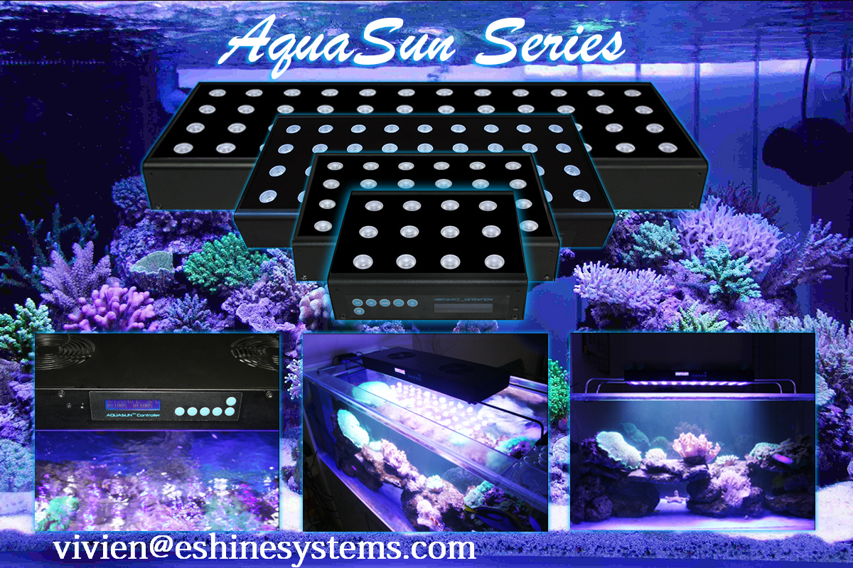 AS-24X3W Best-selling Saltwater dimmable 3 watt program remote control led dimmable aqua