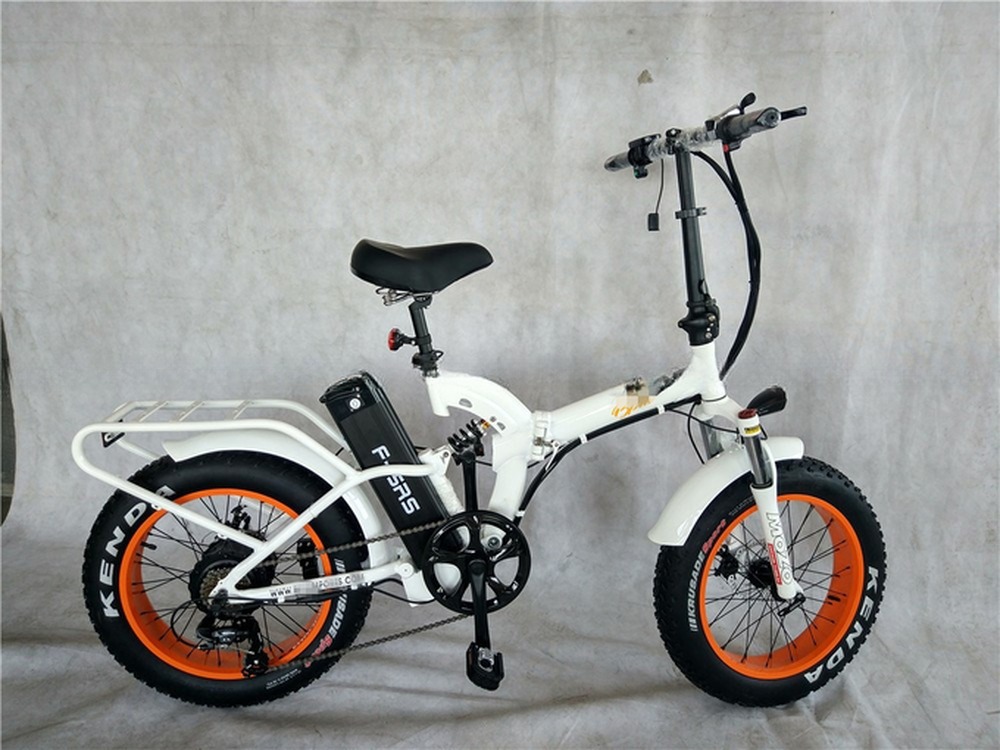 48V Electric Dual Motor 1000 Watt Long Range Fat Tire Cargo E-Bike with Fast Charging