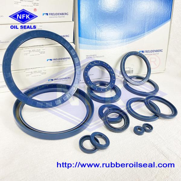 Blue Rubber Oil Seal German Simrit Babsl 0.5 50*72*7 35*52*6 Cfw Oil Seal For