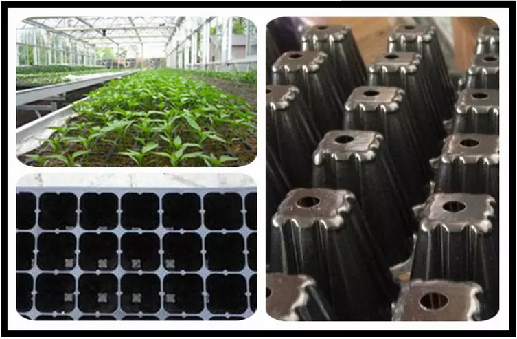 Fold not bad , lightnes , lower price seeding tray