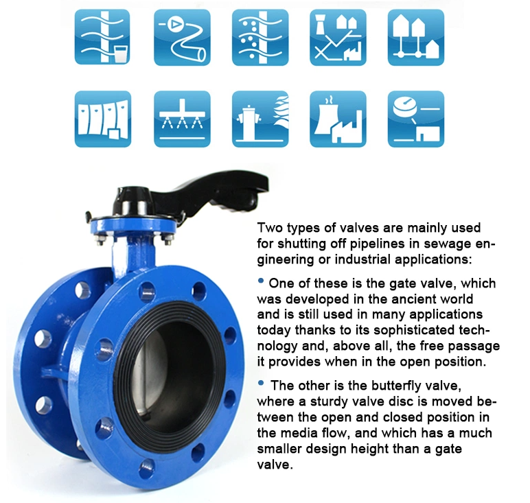 Customized Manual Drive Cast Iron Double Flange Butterfly Valve for Medium Temperature