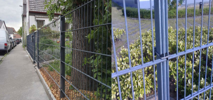 Hot Dip Galvanized 868 Prison Twin Mesh Fencing