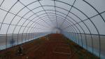Anti Drip Plastic Film Greenhouse Light Transmission 80%-90%
