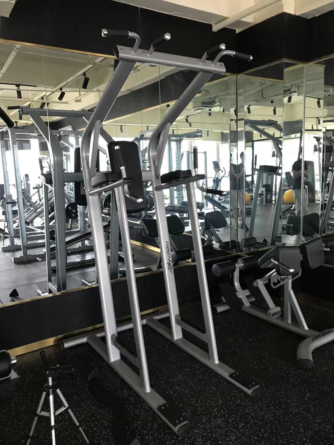 Q235 Home Gym Exercise Equipment Chin Dip Leg Raise For Strength Training