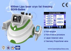 China Cryolipolysis + lipo laser (8 laser pads)  + cavitation +  rf vacuum weight loss machine wholesale