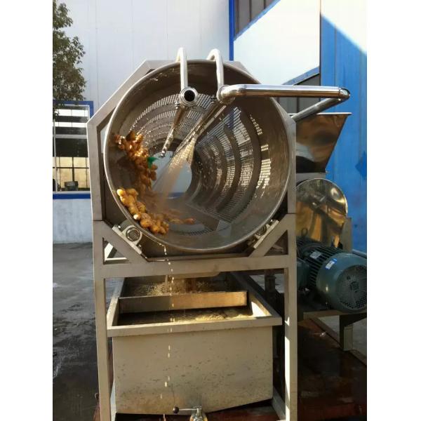 Complete Kale Processing Line Celery/Kale/Cucumber Production Plant Customized Equipment For Vegetable Industry