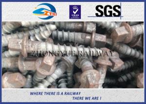 China Track Hex Head Railway Sleeper Screws , Square Head Screw Spike wholesale