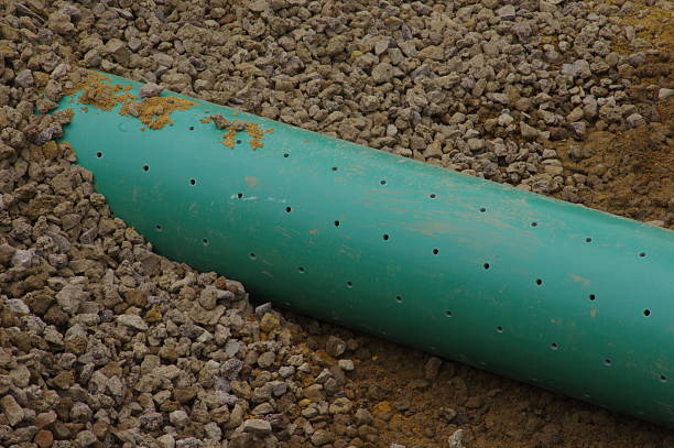 Customizable Perforated PVC Drainage Pipe with Round Head Long-Lasting Performance