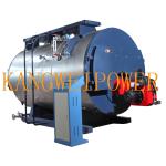 Industrial Electric Boiler Natural Oil Gas Fired Circulating Fluidized Bed