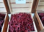 Halal Certified New Generation Dried Red Chile Peppers 50000-90000SHU