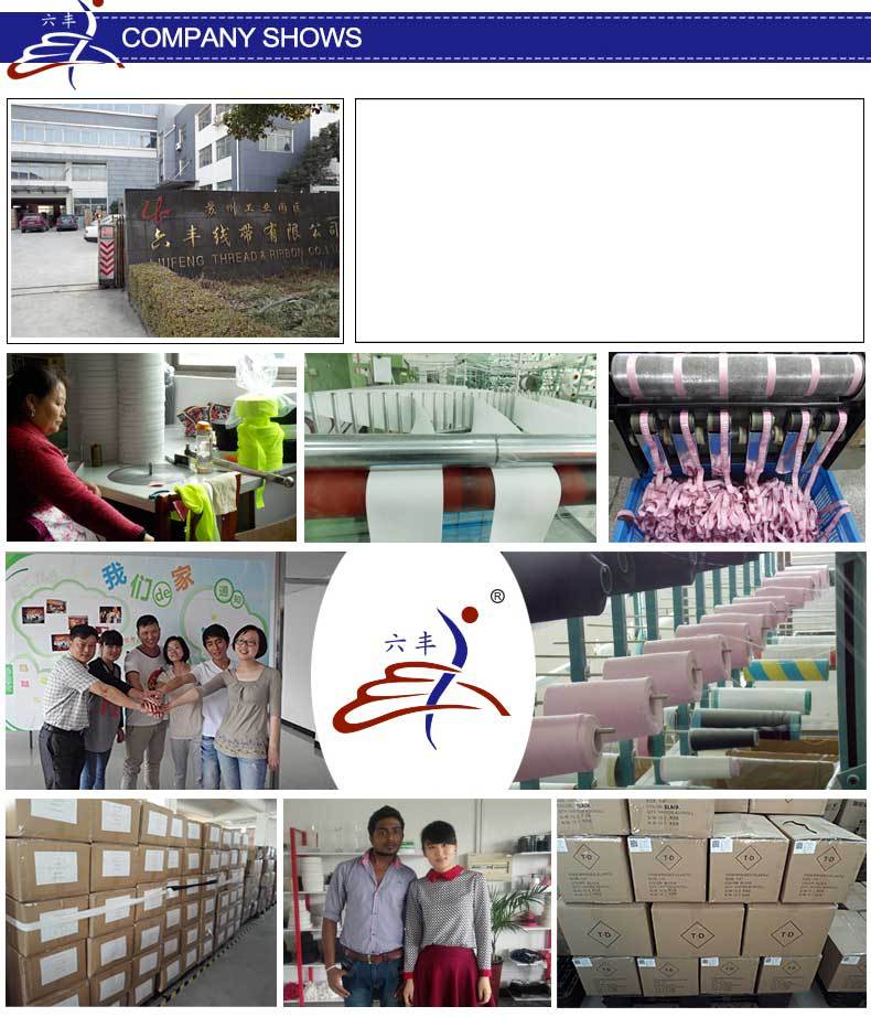 Garment Nylon Polyester Webbing Woven Polyester Lifting Straps