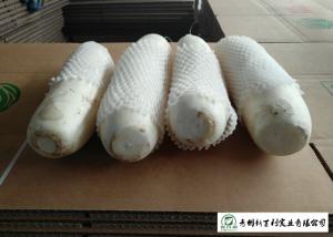 China Fresh Long White Asian Radish 1kg / Per No Putrefaction For Supermarket wholesale