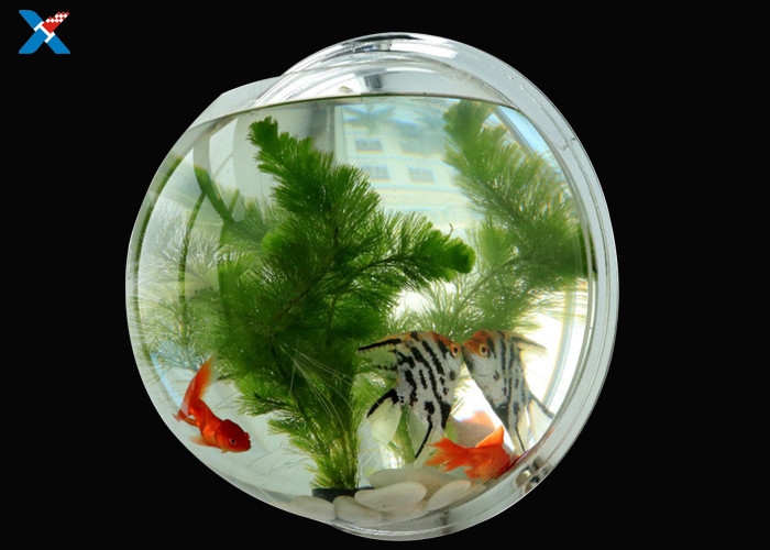 Clear Acrylic Drip Wall Hanging Fish Tank Aquarium / Custom Acrylic Fish Tanks