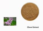 Brown Clove Flower Plant Extract Powder For Food Additive