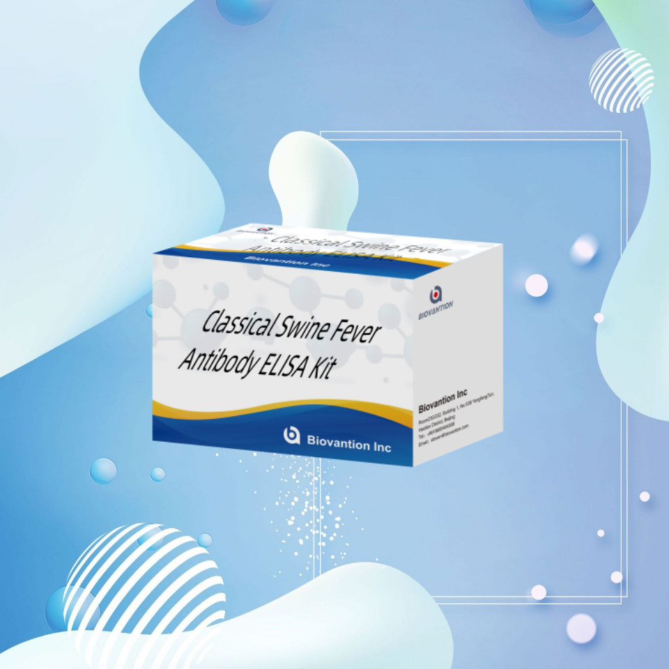 Detection Kit For CSFV Classical Swine Fever Antibody For Animal Detect Reagent 192T