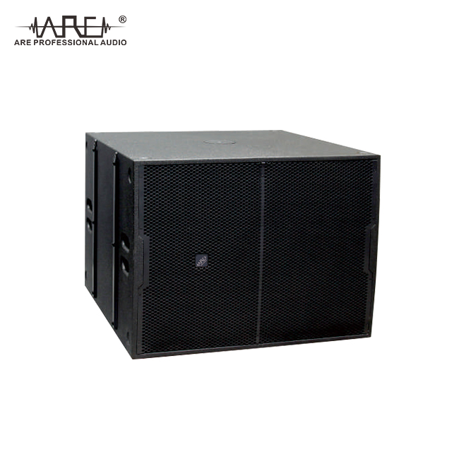 ARE Audio Dual 10" Outdoor Line Array Professional Audio System Passive Line Array for Medium-sized Performances