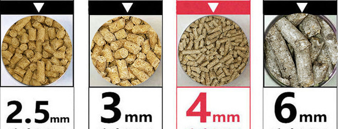 Animal Feed Pellet Machine Pelletizer Machine For Animal Feeds Chicken Feed Pellet Machine