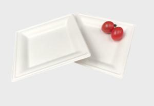 China Disposable Dinnerware 10 Inch Square Sugarcane Pulp Plates wholesale