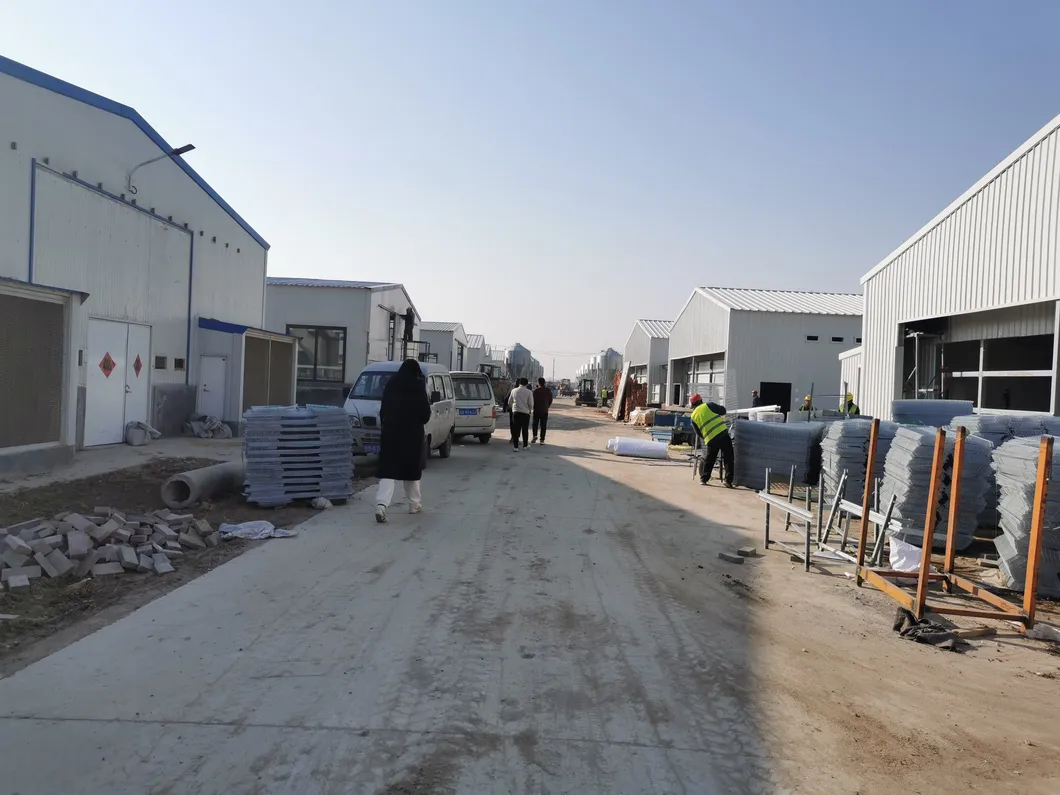 Prefabricated Glavanized Light Steel Structure Farm Poultry House Shed