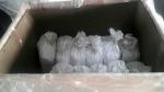 Magnesium ball orp magnesium pellets magnesium ball in water treatment