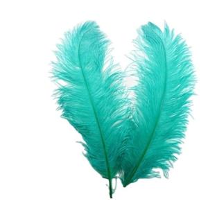 China 40-45cm Ostrich Feather Plumes For Event Party Supplies Decorations wholesale