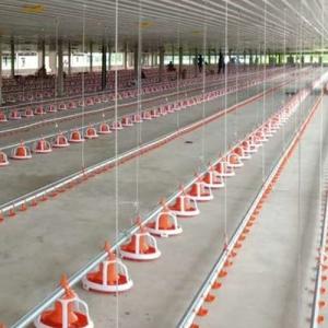 China Poultry Farm Auto 380V Chicken House Equipment wholesale