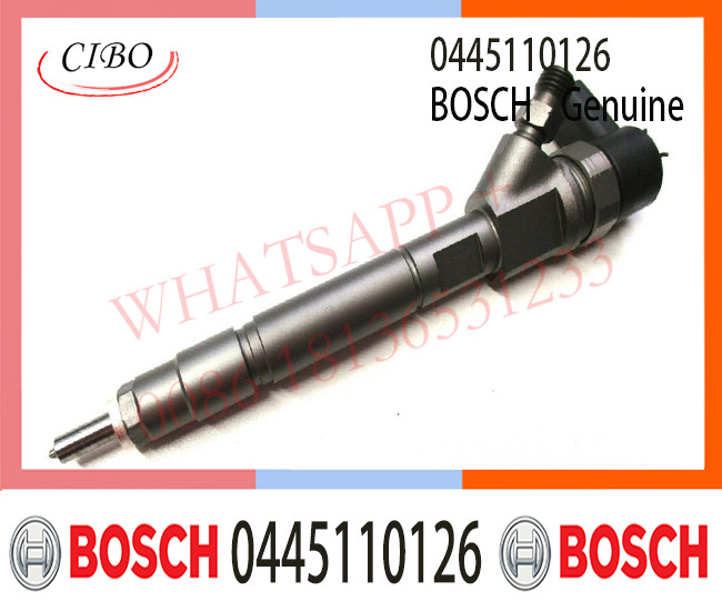 0445110126 0445110290 0445110729 Diesel Fuel Injector For Hyundai KIA Sportage