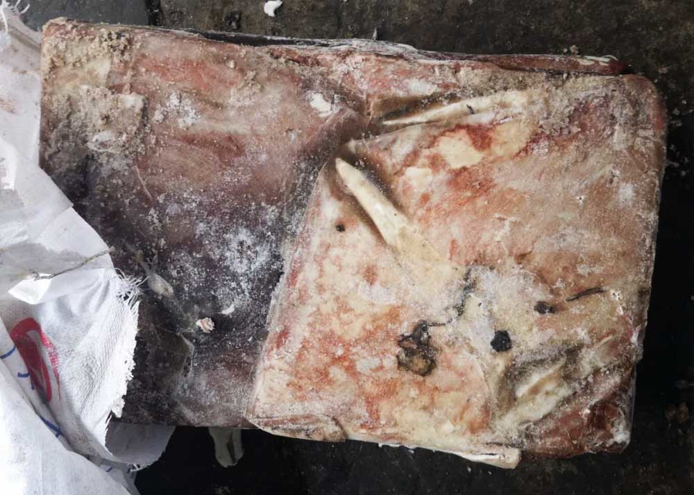 Brc Equator Squid Wing Catching Area: Pacific Ocean Fao 87 1000g Up Size