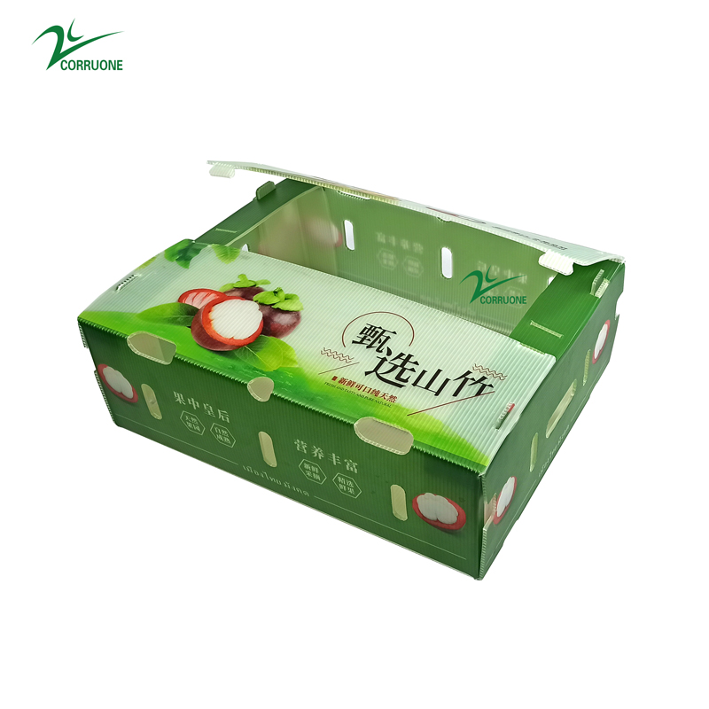 PP Corrugated Plastic Box for Vegetable and Fruit Box Corn broccoli and Agriculture Packing box