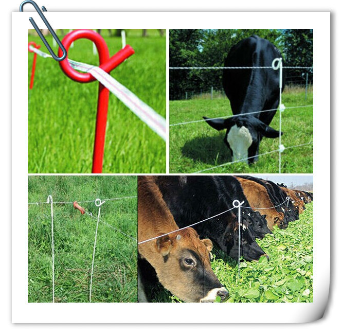6mm diameter pigtail Fencing Post 100cm length With Strong Step QL801