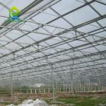 Hot DIP Galvanized Steel Structure PC Sheet Greenhouse For Orchids Plants