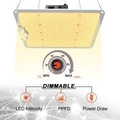 China Plant supplement lamp wholesale