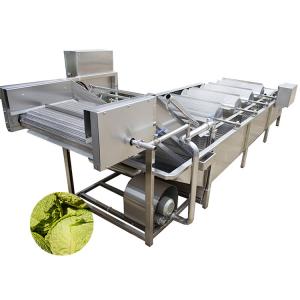China Automatic Vegetable Fruit Air Bubble Washing Machine wholesale