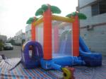 Colorful Jungle Combo Slide (CYBC-36)