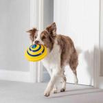 Unique Interacts Pet Play Toys Sounder Sounding Disc PVC / PP Material