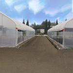 Outdoor Galvanized Steel Frame Greenhouse Plastic Sheet Film Tunnel Agricultural