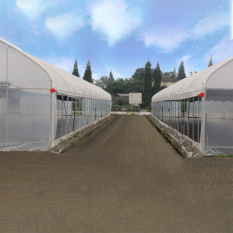 Steel Frame Tunnel Plastic Greenhouse / PE Film Plastic Tomato Greenhouse