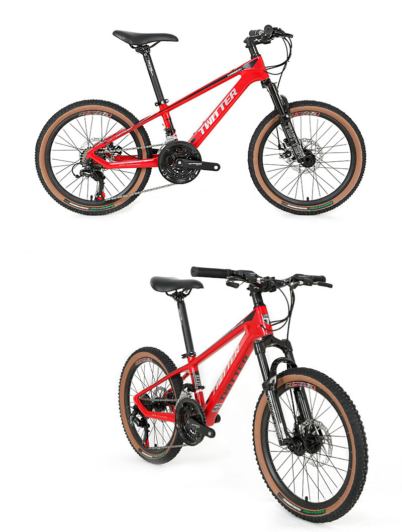 20 Inch MTB , Carbon Fibre Hardtail Mountain Bike 11.3KG For Kids