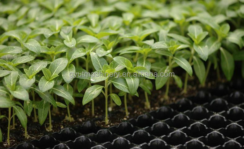 Seeds Onion Tomato Carrot Vegetable Seedling Tray Seeder for Nursery Planting Machine