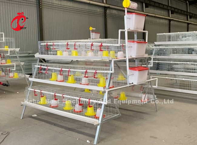 A Or H Type Automatic And Manual Poultry Farming Cage System Design For Chicken Poultry Farming Sandy