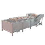 1500kg/H Vegetable Fruit Washing Machine